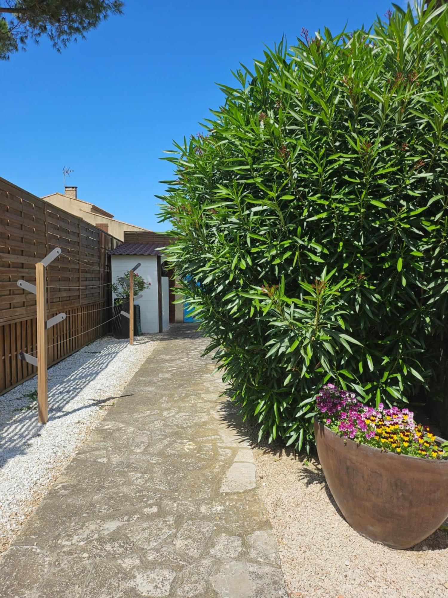 Belle Villa Lespignan Εξωτερικό φωτογραφία